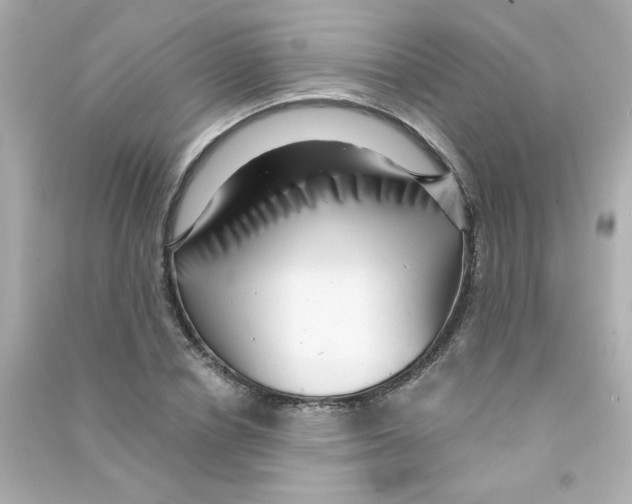 X0000090440834200708102025