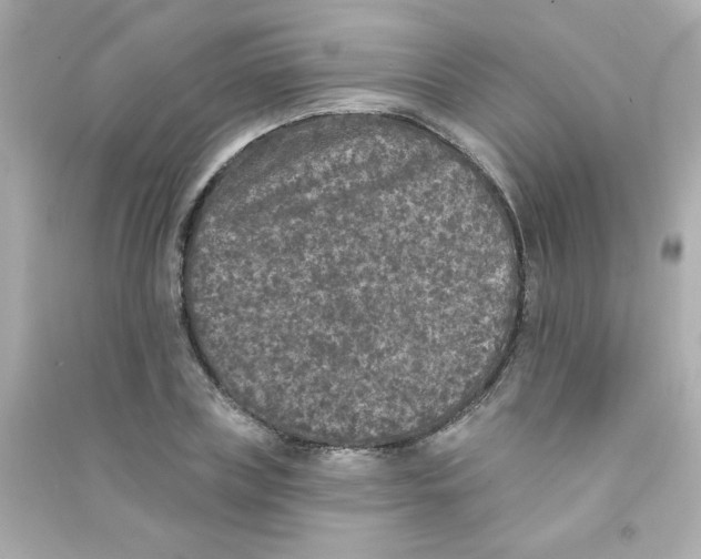 X0000090440835200708102025