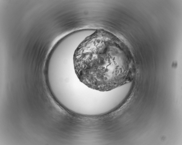 X0000090440838200708102025