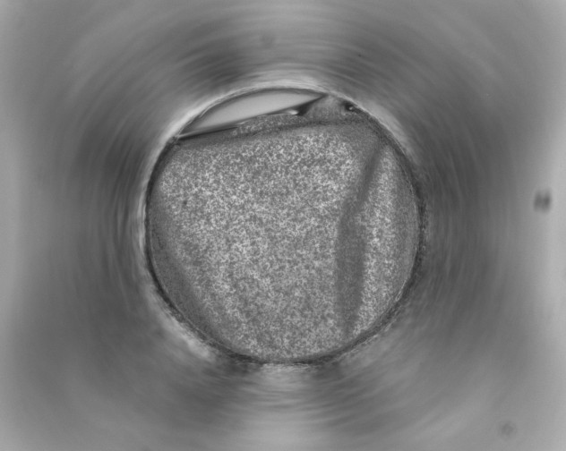 X0000090440840200708102025