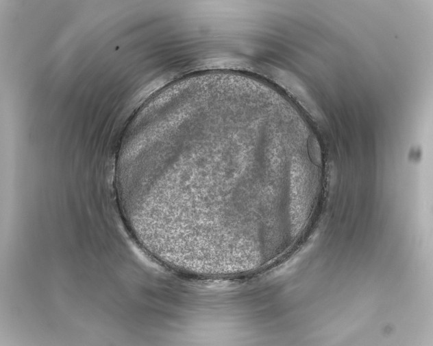 X0000090440841200708102025