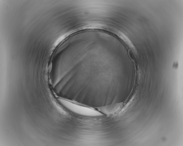 X0000090440842200708102025