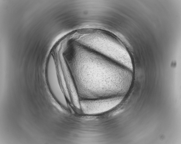 X0000090440846200708102025