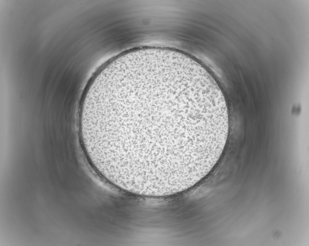 X0000090440848200708102026