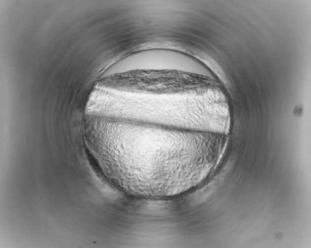X0000090440849200708102026
