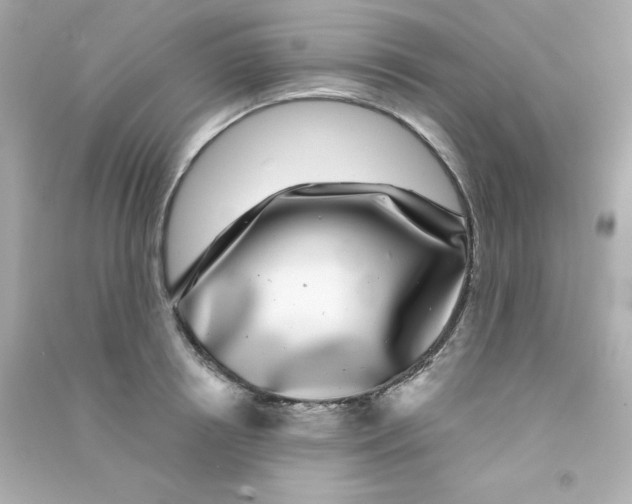 X0000090440850200708102026