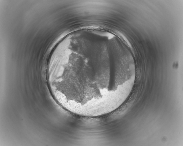 X0000090440851200708102026