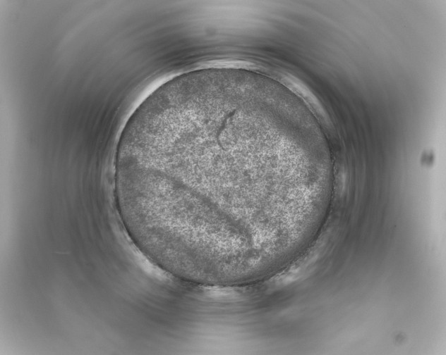 X0000090440852200708102026