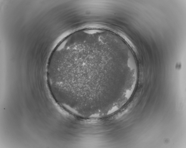 X0000090440853200708102026