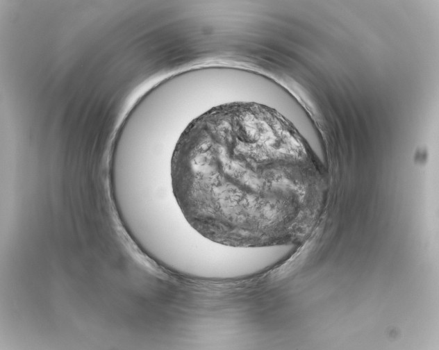 X0000090440854200708102026