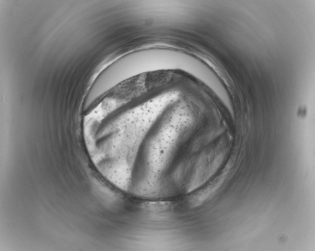 X0000090440858200708102026