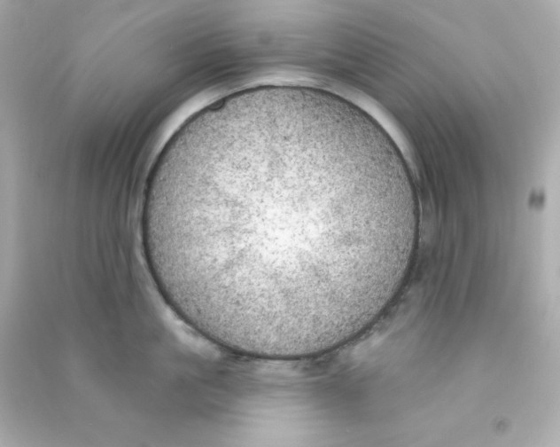 X0000090440861200708102026