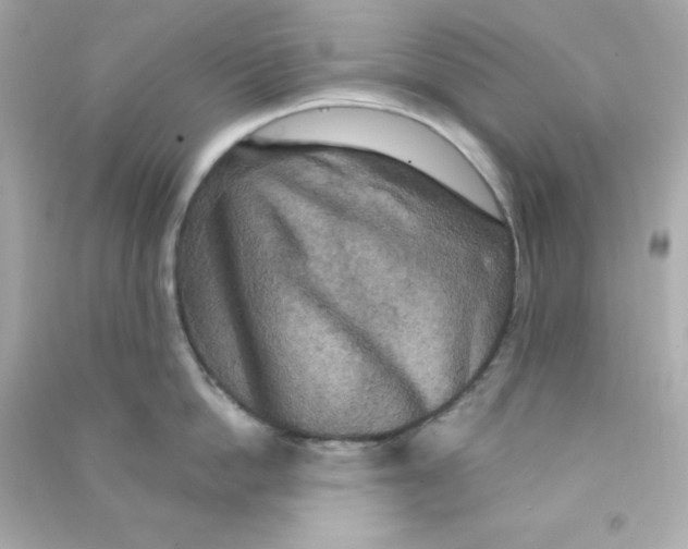 X0000090440862200708102026