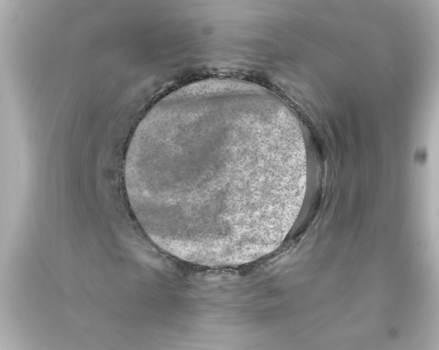 X0000090440865200708102025
