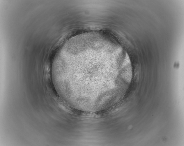 X0000090440866200708102025