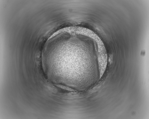 X0000090440867200708102025