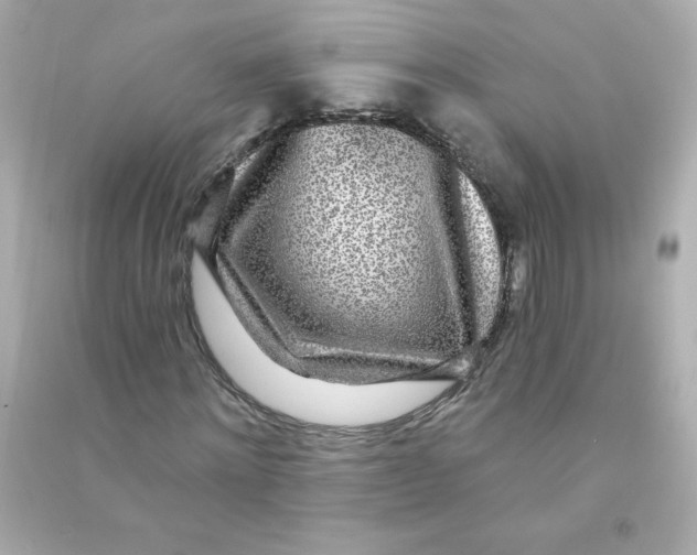 X0000090440868200708102025