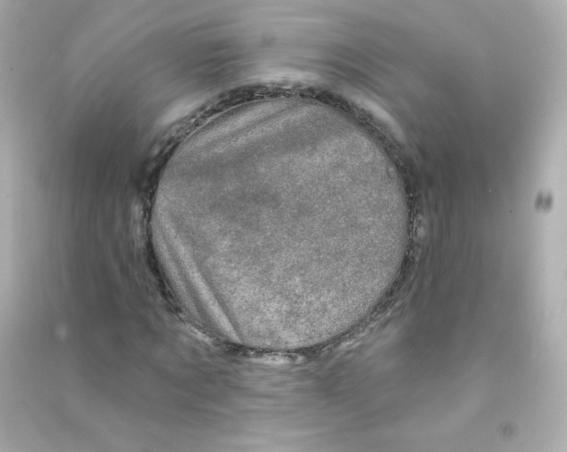 X0000090440869200708102025