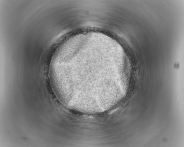 X0000090440870200708102025