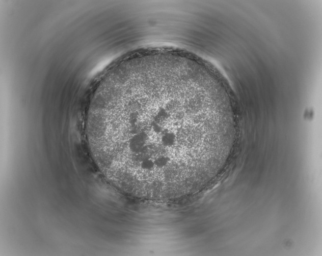 X0000090440871200708102025