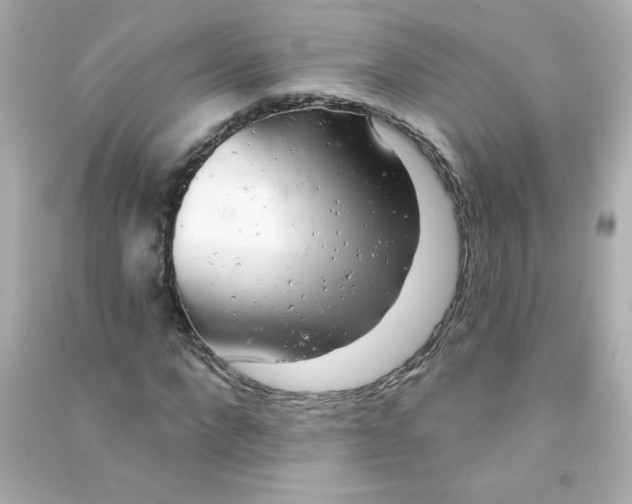X0000090440872200708102025