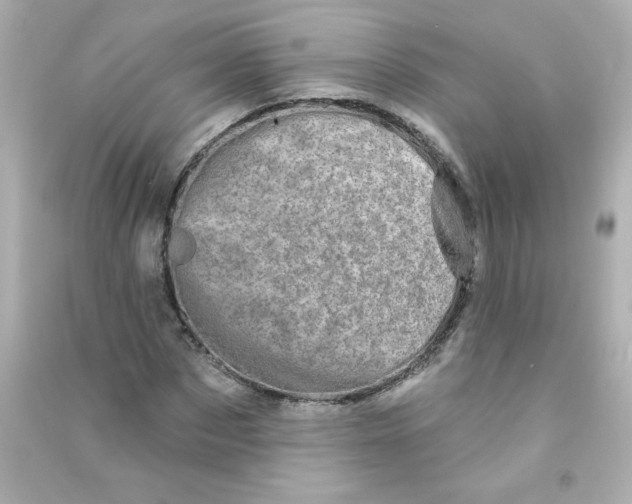 X0000090440873200708102025