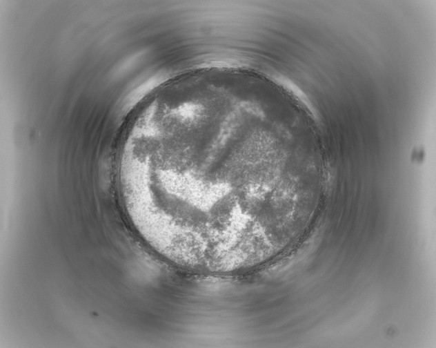 X0000090440874200708102025