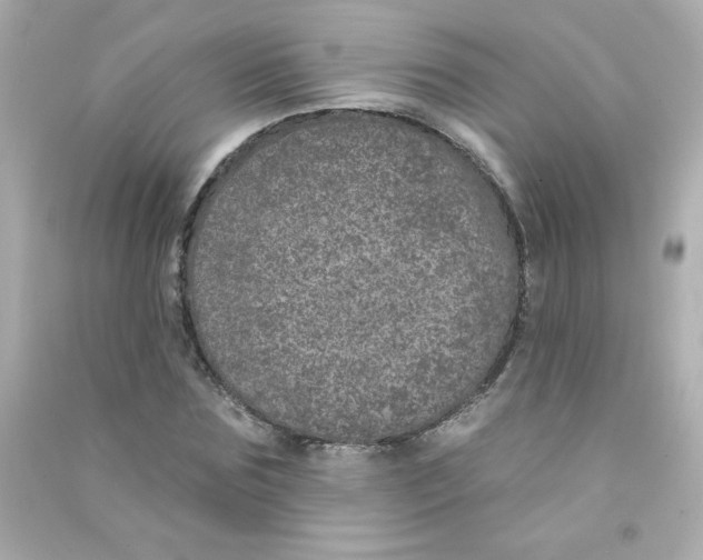 X0000090440875200708102025