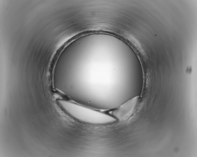 X0000090440876200708102025