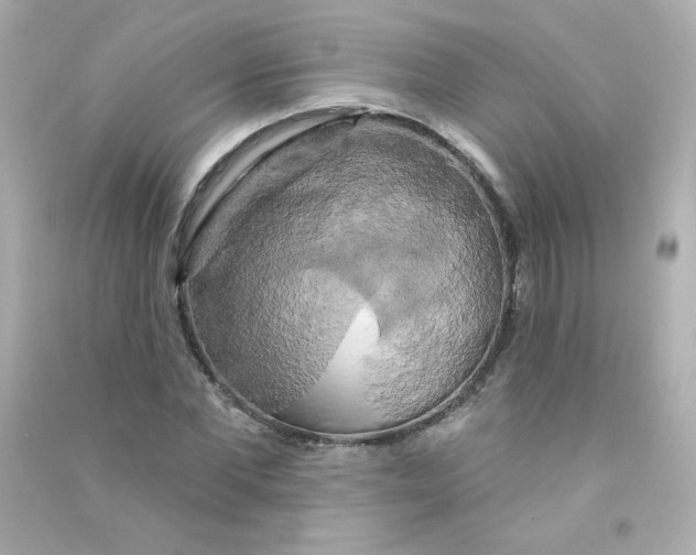 X0000090440877200708102025