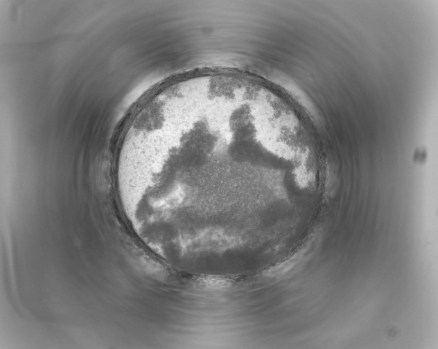 X0000090440878200708102025