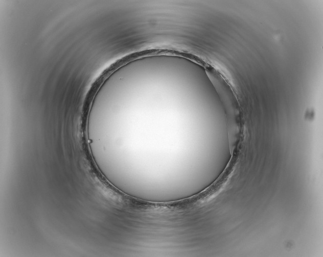X0000090440880200708102025