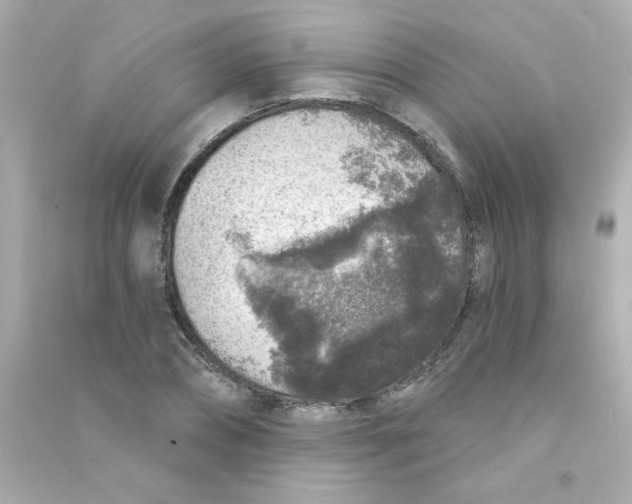 X0000090440882200708102025