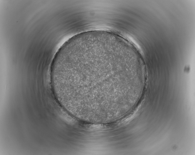 X0000090440883200708102025