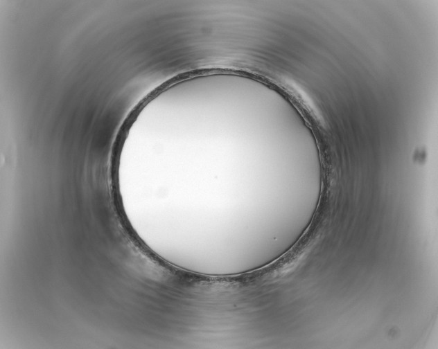 X0000090440884200708102025
