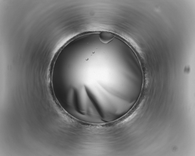 X0000090440885200708102025