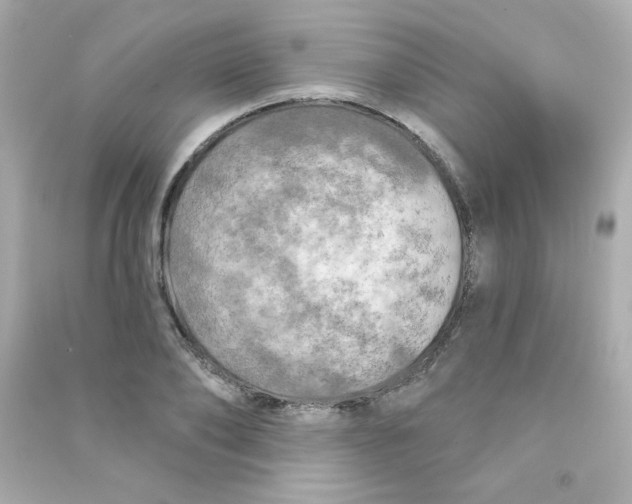 X0000090440886200708102025