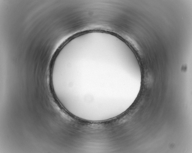 X0000090440888200708102025