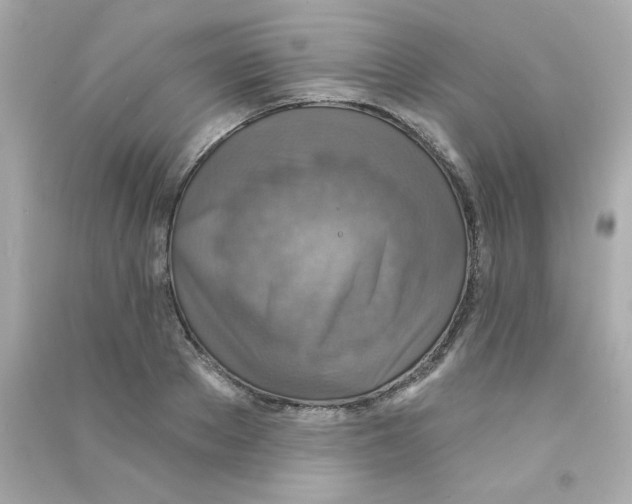 X0000090440889200708102025