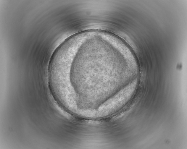 X0000090440890200708102025
