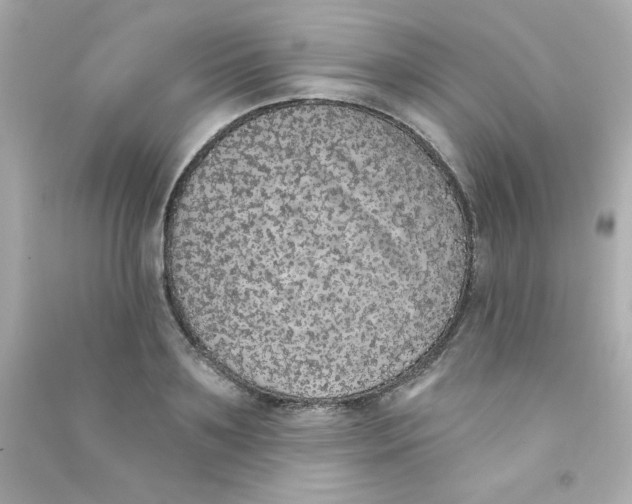 X0000090440891200708102025