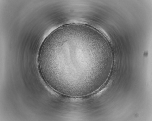 X0000090440893200708102025