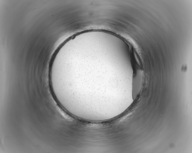 X0000090440894200708102025