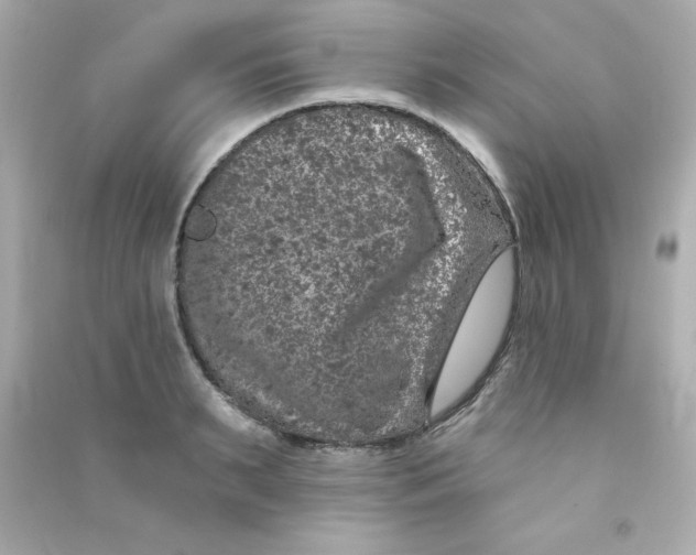 X0000090440895200708102025