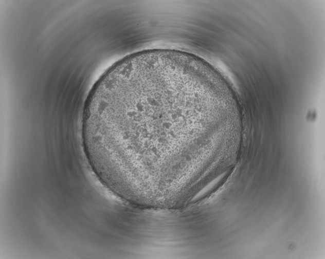 X0000090440896200708102025