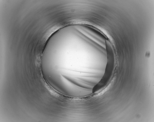 X0000090440897200708102025