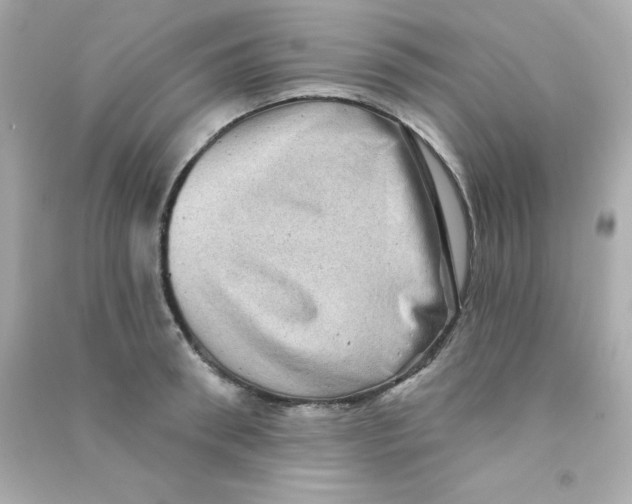 X0000090440898200708102025