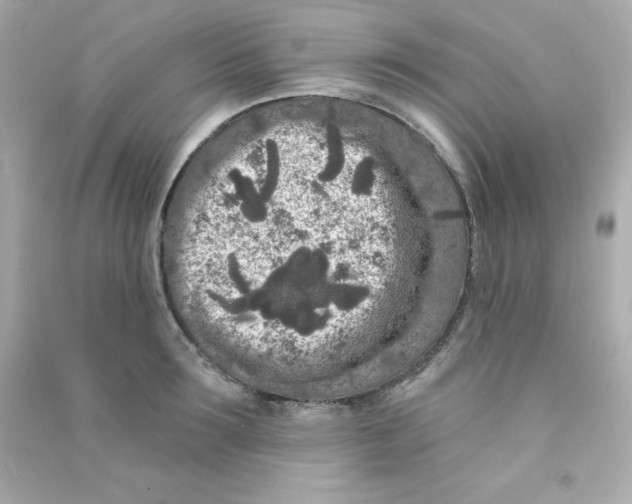 X0000090440899200708102025