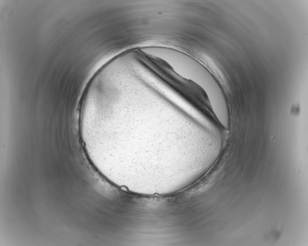 X0000090440900200708102025