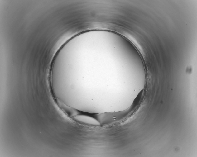 X0000090440901200708102025